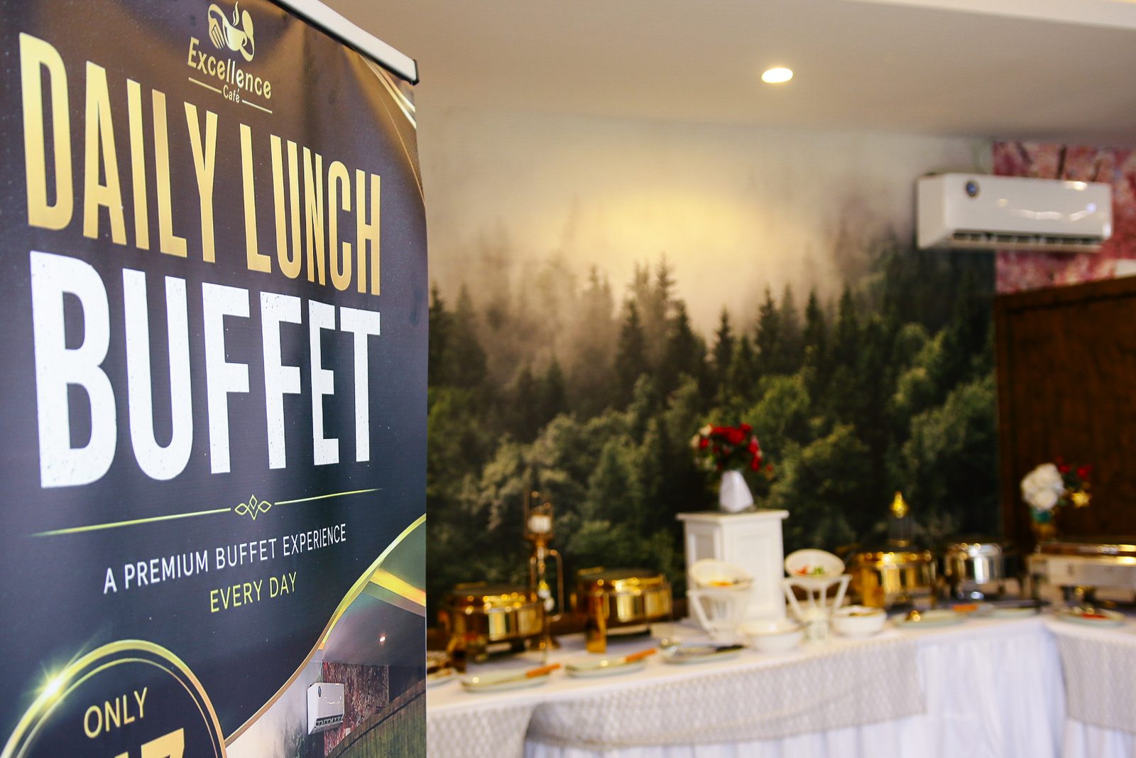An Excellence Café "Daily Lunch Buffet — a premium buffet experience, every day" pull-up banner beside the buffet table.